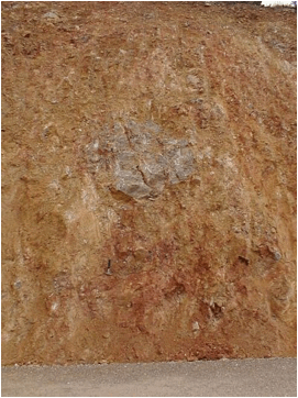 Image012