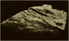 Image006