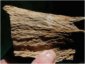diffuse shatter cones limestone Rubielos de la Cérida impact basin Spain