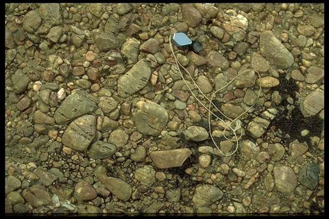 endogenetic geologic interpretation of shocked quartzite cobbles