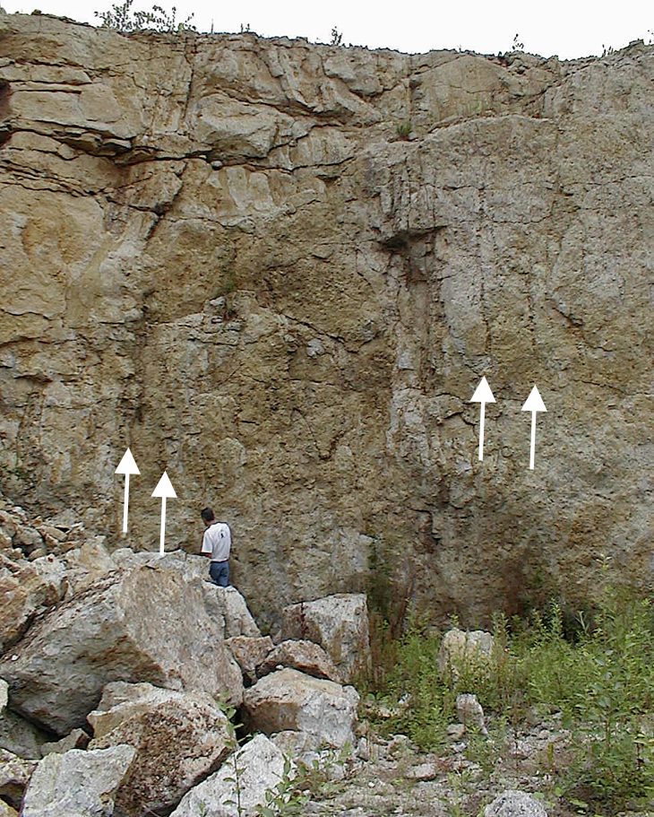 degassing pipes in suevite, Aumühle quarry, Ries crater