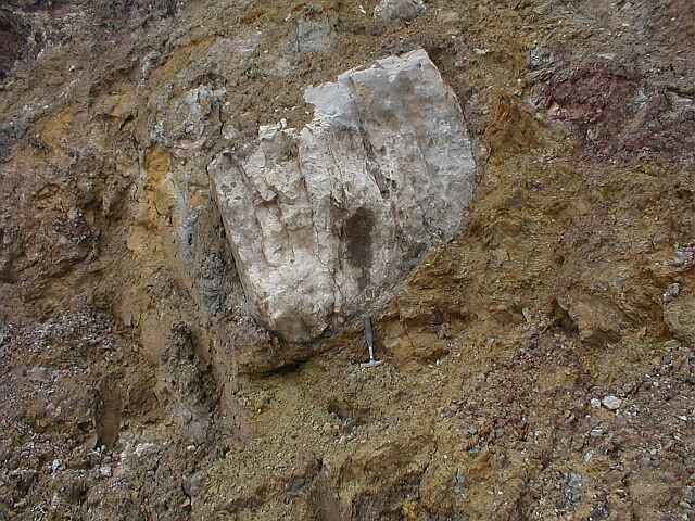 Bunte breccia ejecta as an impact megabreccia, Ronheim, Ries crater