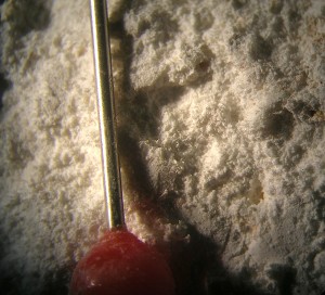 close-up of a carbonate impact melt rock, central-uplift chain, Rubielos de la Cérida impact basin