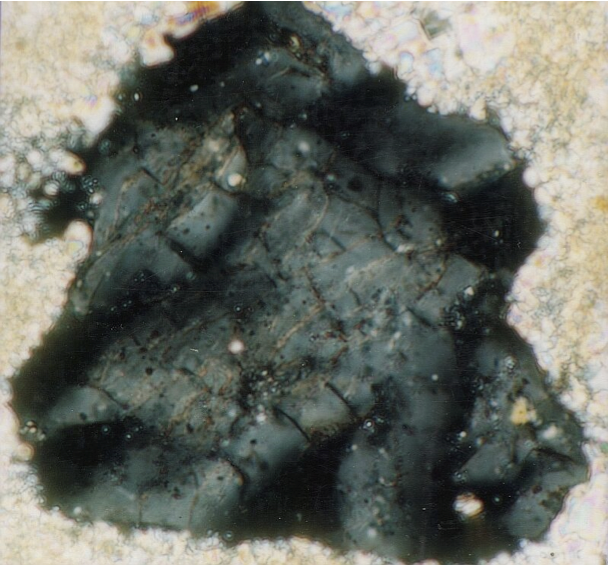 photomicrograph of diaplectic quartz crystal, Muniesa breccia, Azuara shock