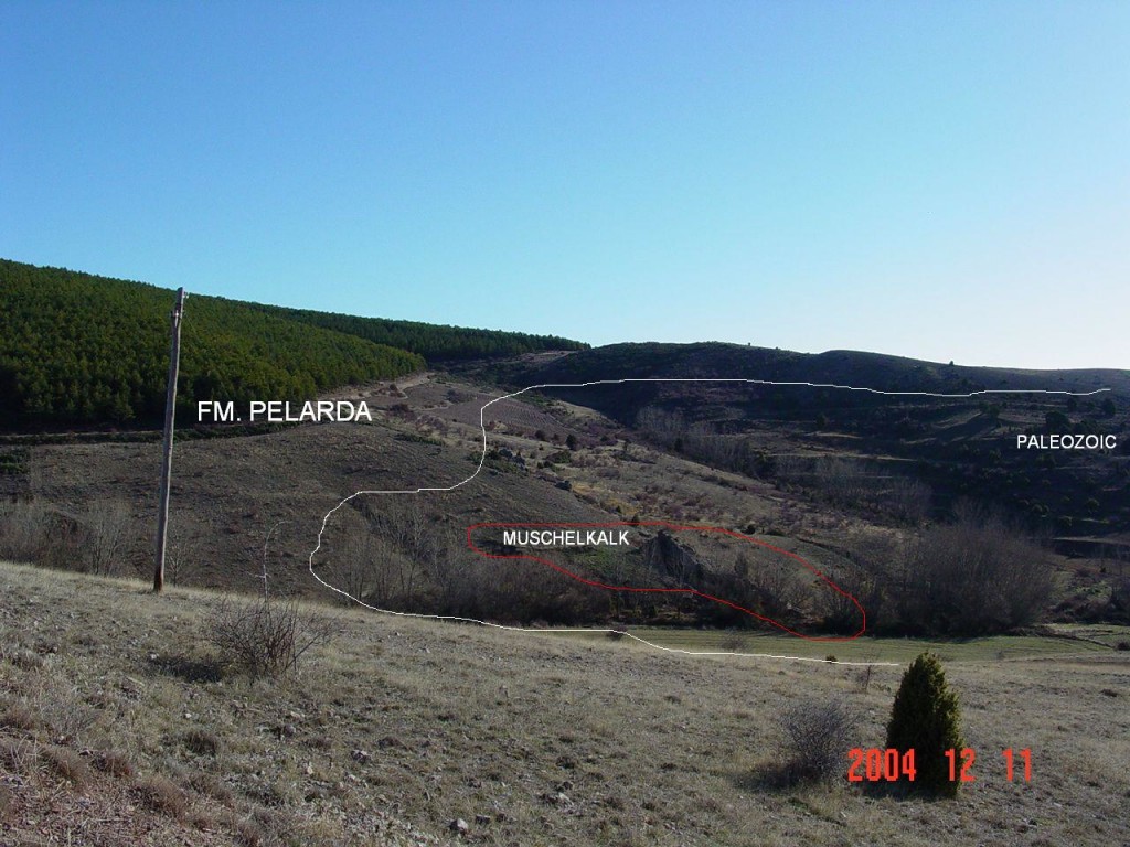 Pelarda formation in contact to the downhill underlying Paleozoic