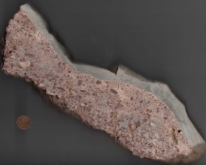 cut slice of a peculiar polymictic breccia Rubielos de la Cérida impact structure Spain