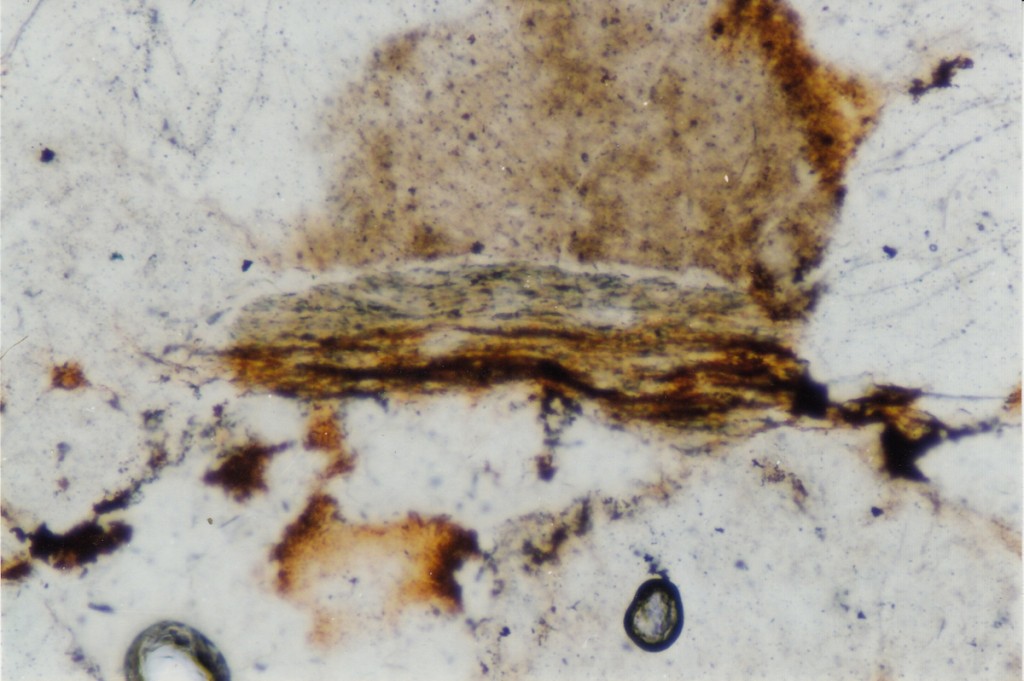 photomicrograph shocked oxidized biotite in sandstone Azuara impact structure