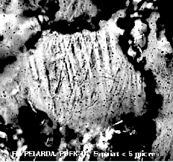 photomicrogaph of planar deformation features, Pelarda Fm. ejecta, Azuara impact event