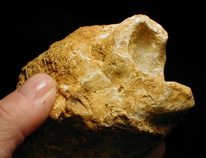 pook's pebble deformation of a limestone clast, Bunte breccia ejecta, Ries crater