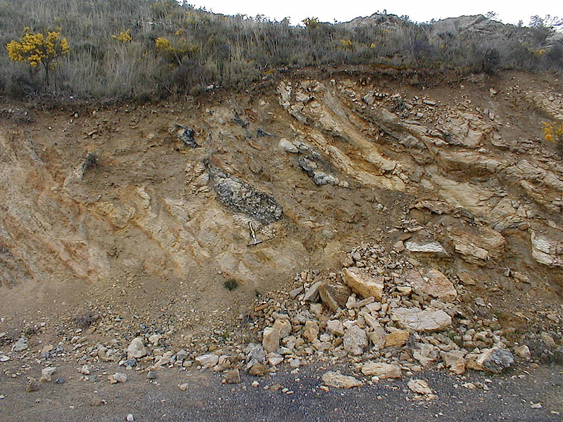 interfingering of Daroca quartzitic sandstone and slate