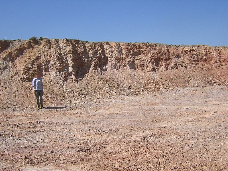 grit brecciated Daroca quartzitic sandstone - quarry Olalla block