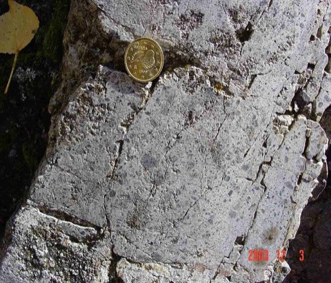 mortar texture in the Muschelkalk limestone - Olalla block