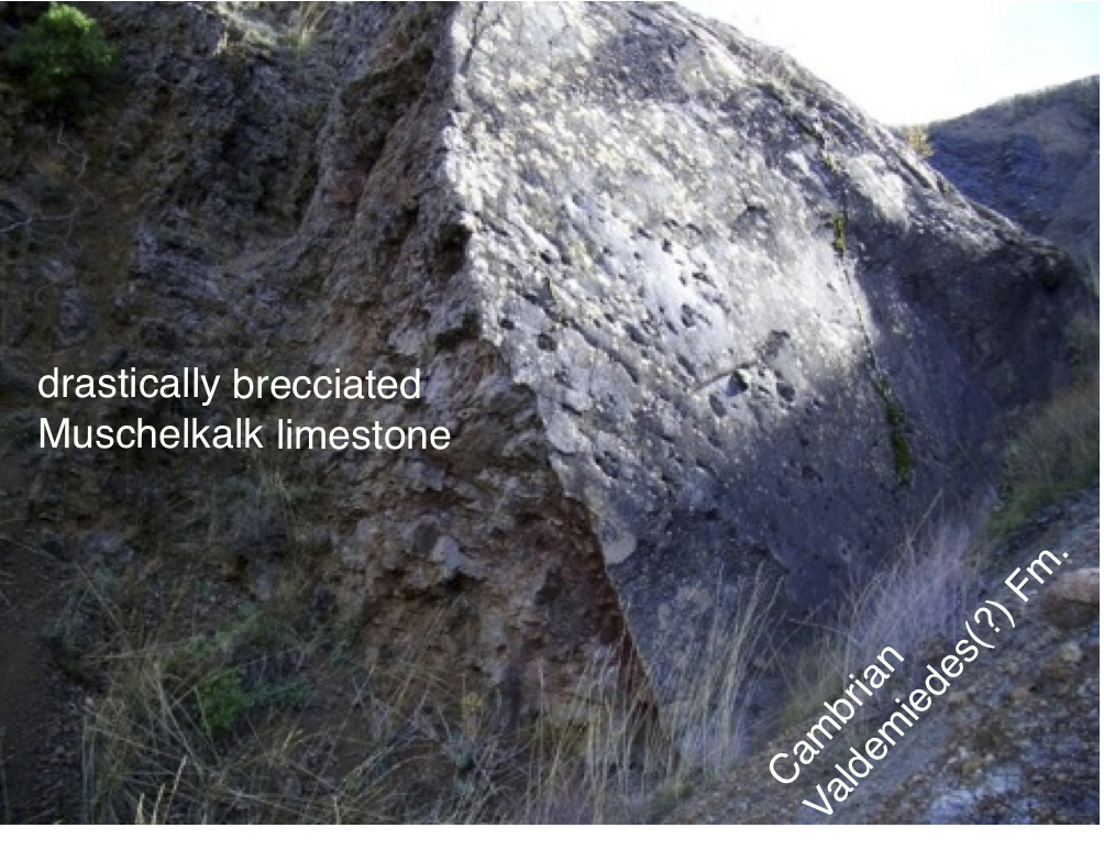 thrust fault inverted stratigraphy Cambrian over Keuper - Muschelkalk