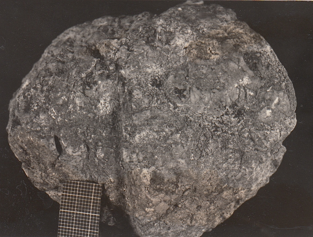 The Weaubleau impact structure "round rocks" ("Missouri rock balls