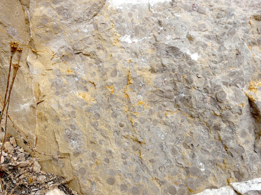 Aguilon oncolite limestone Azuara impact ejecta