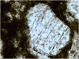 planar deformation features, PDFs, in quartz, suevite breccia boulder, east of Sudbury