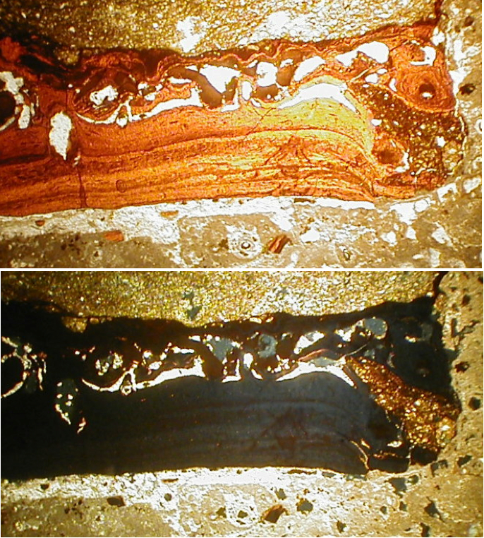 photomicrograph of impact melt glass, strongly shocked polymictic breccia, Azuara impact structure