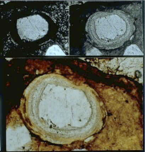 photomicrograph of melt glass coating quartz grain, Sta. Cruz breccia, Azuara shock