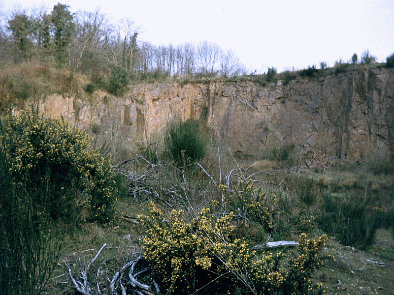 suevite disused quarry, Montoume, Rochechouart impact structure, France