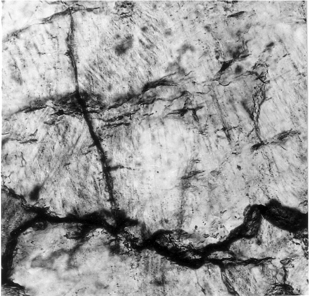 photomicrograph of planar deformation features, quartz, Santa Cruz de Nogueras shocked brecciasler, Azuara shock