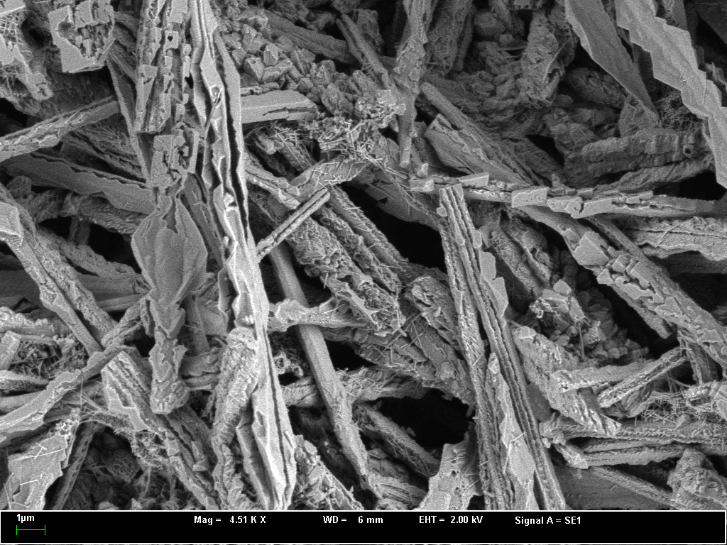 SEM image carbonate melt dendritic texture Rubielos de la Cérida impact