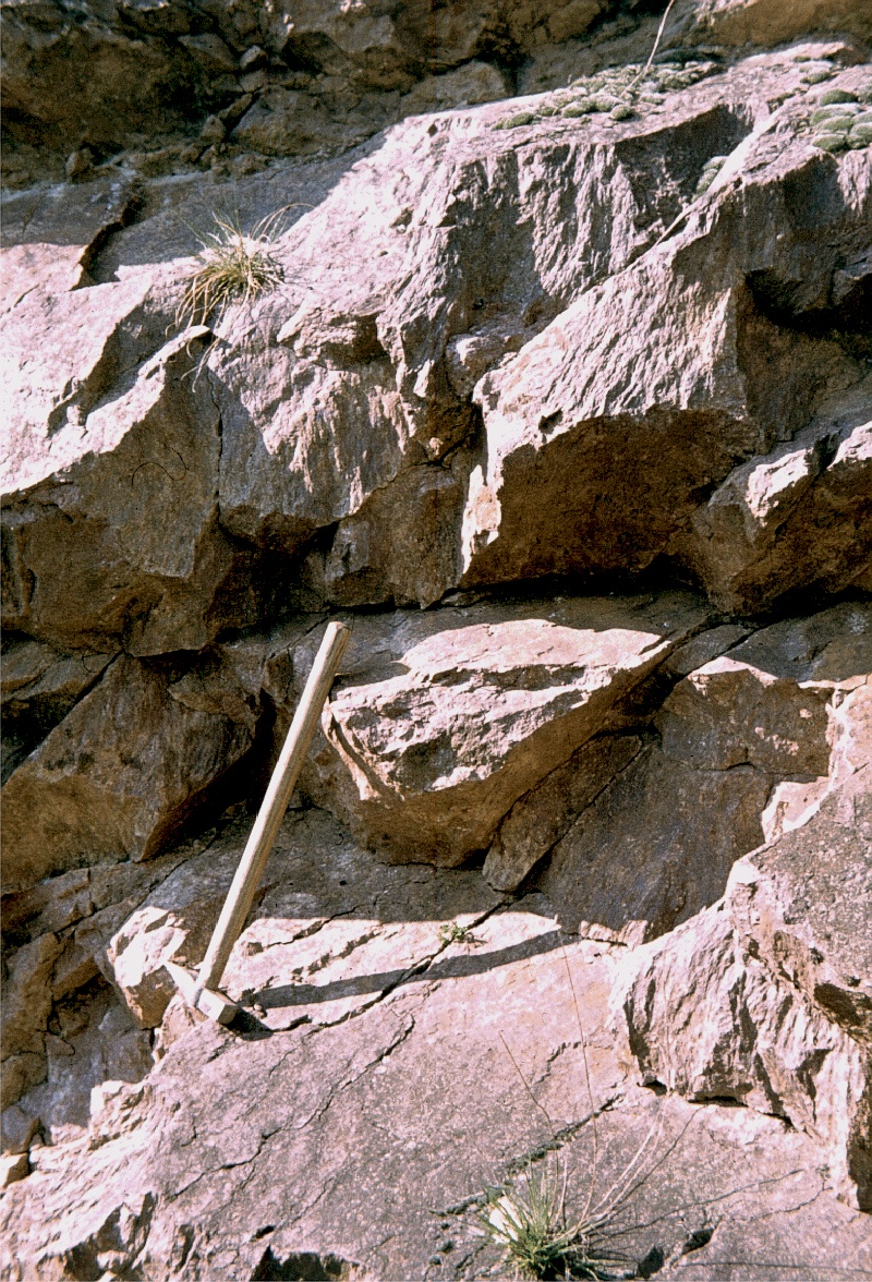 shatter cones in outcrop, granitic rock, Rochechouart impact