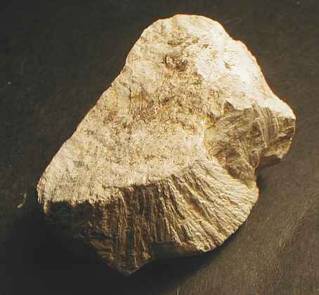 individual shatter cone frustum, Malmian limestone, Steinheim impact crater