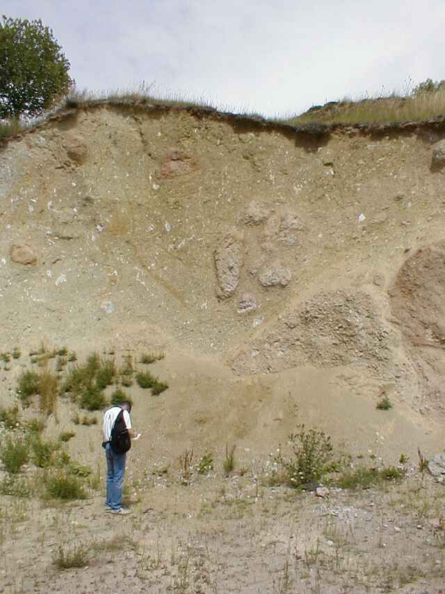 Ries crater Limberg quarry megabreccia detail
