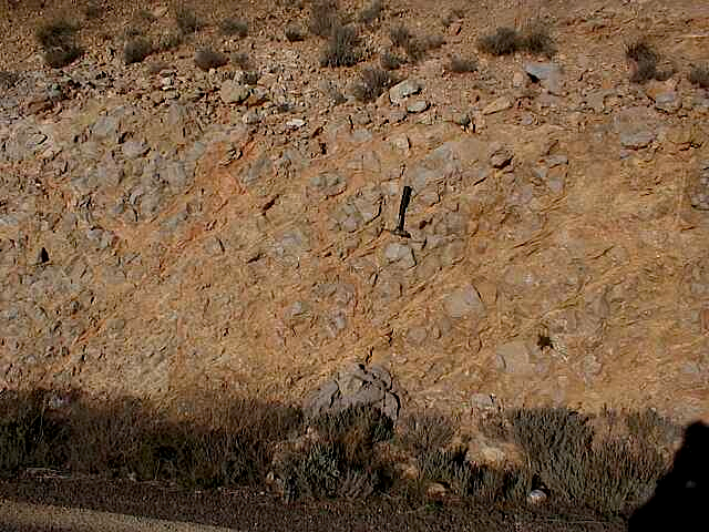 net of breccia dikes in bedded limestone