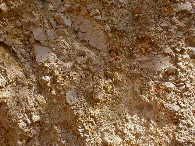 detail of grit brecciation Malmian limestone Ries crater dislocated megablock