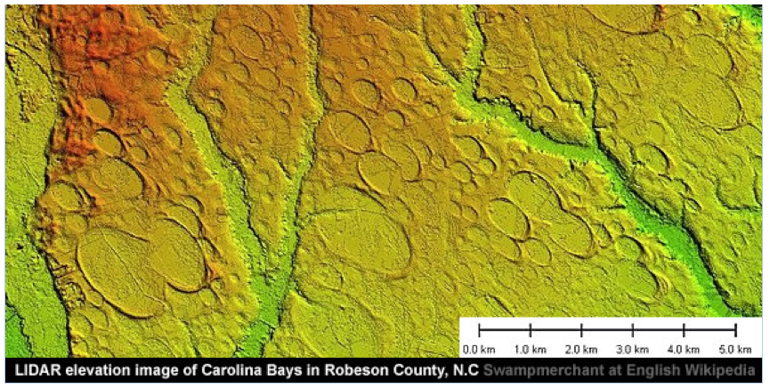 Predominant morphology in the Carolina Bays